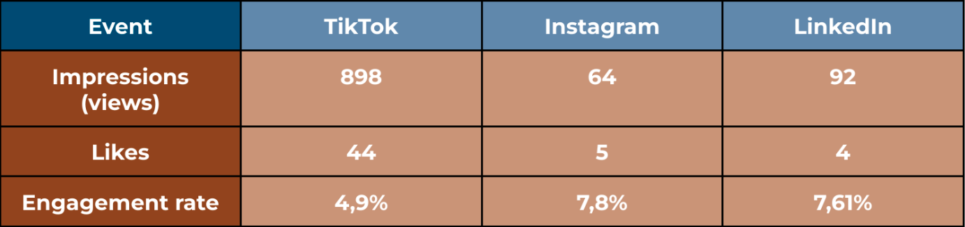Video Statistics Tiktok Instagram LinkedIn